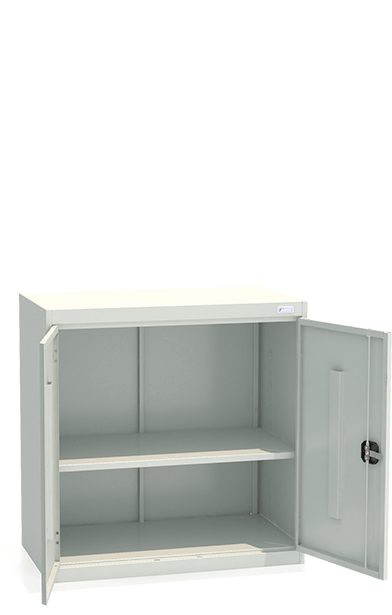 Шкаф архивный ШХА-N/2- 900(50) купить в Череповце Шкаф архивный ШХА-N/2- 900(50) купить в Череповце